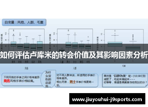 如何评估卢库米的转会价值及其影响因素分析 如何评估卢库米的转会价值及其影响因素分析